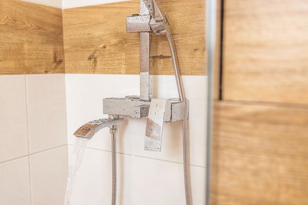 Cost of Shower Plumbing Installation in South Lyon